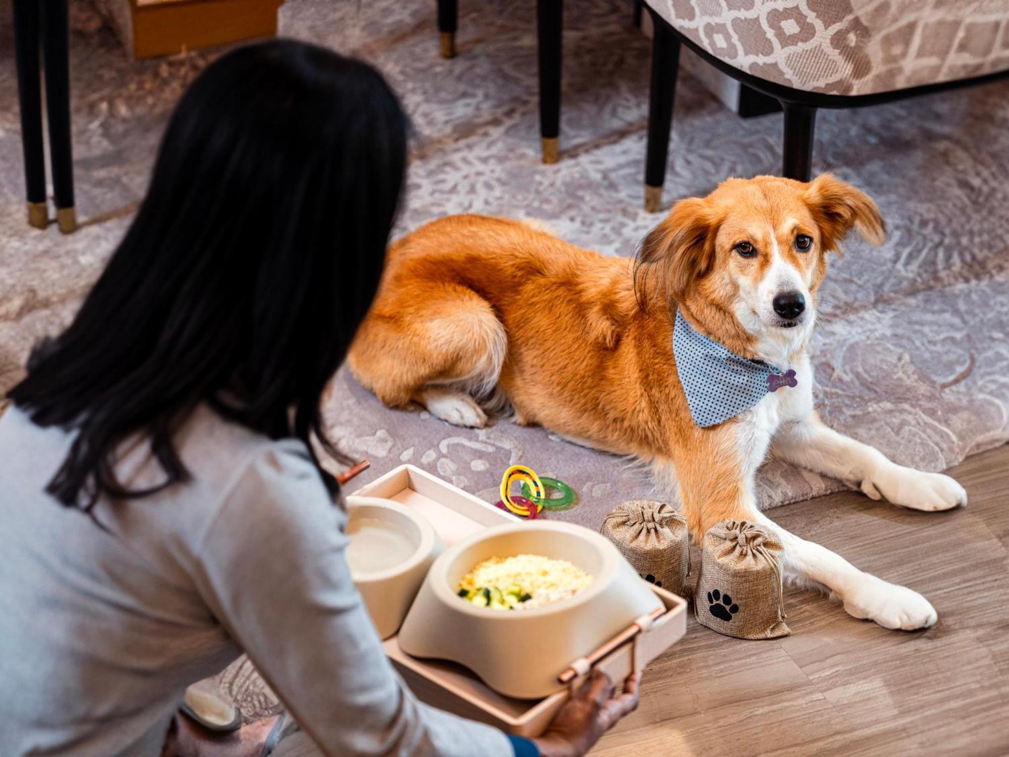 Abesq Doha Hotel And Residences, An Ihg Hotel 외부 사진 A dog at the Four Seasons Hotel, Hong Kong
